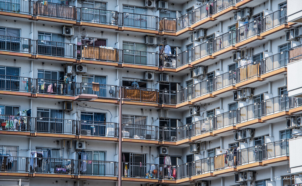 Viviendas en Japón Alcanzan su Tamaño Mínimo en 30 Años, Agudizando la Crisis Demográfica