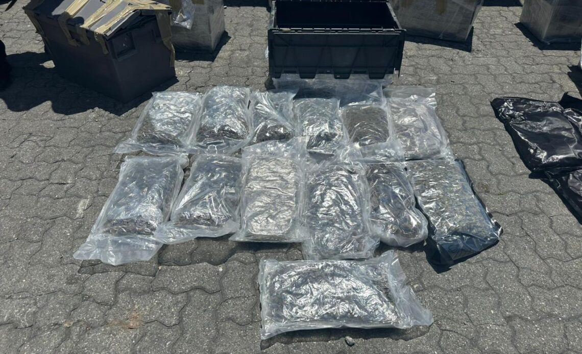 Decomisan 133 Paquetes de Marihuana en Operativos Portuarios en Haina Oriental