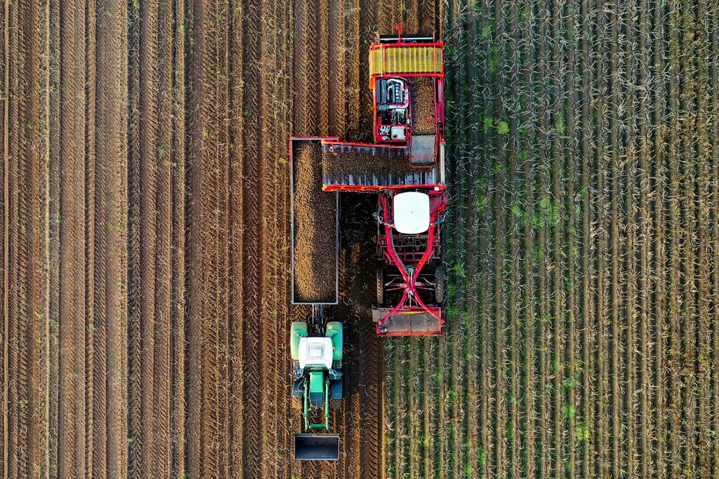 La UE invierte fuertemente en agricultura, pero pierde millones de explotaciones: ¿una estrategia fallida?