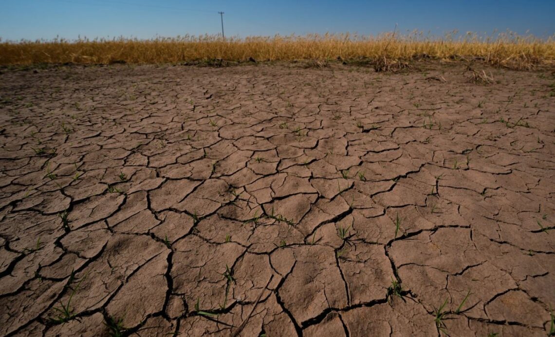 Expertos anticipan un evento de El Niño de magnitud histórica con graves repercusiones globales