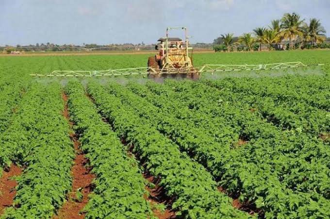 Productores dominicanos aplauden eliminación de impuestos al sector agropecuario
