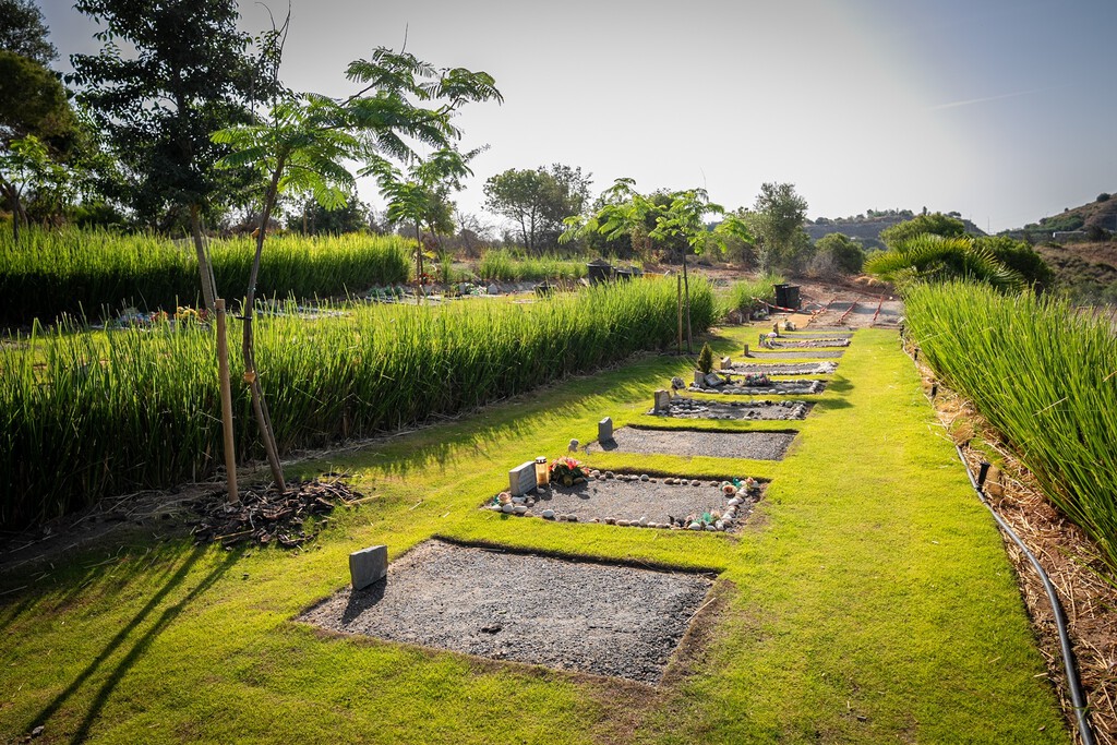 Málaga lidera con el primer cementerio público para mascotas en España, evidenciando el auge de la ''Pet Economy''