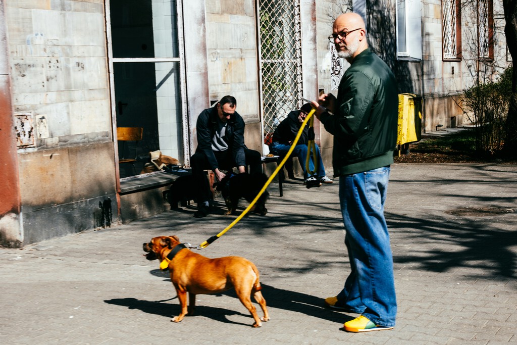 Sentencia judicial avala que comunidades de vecinos prohíban mascotas bajo ciertas condiciones