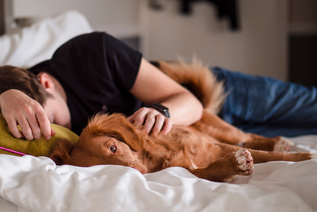 Dormir con mascotas: La ciencia revela que puede afectar la calidad del sueño, a pesar de la percepción de los dueños