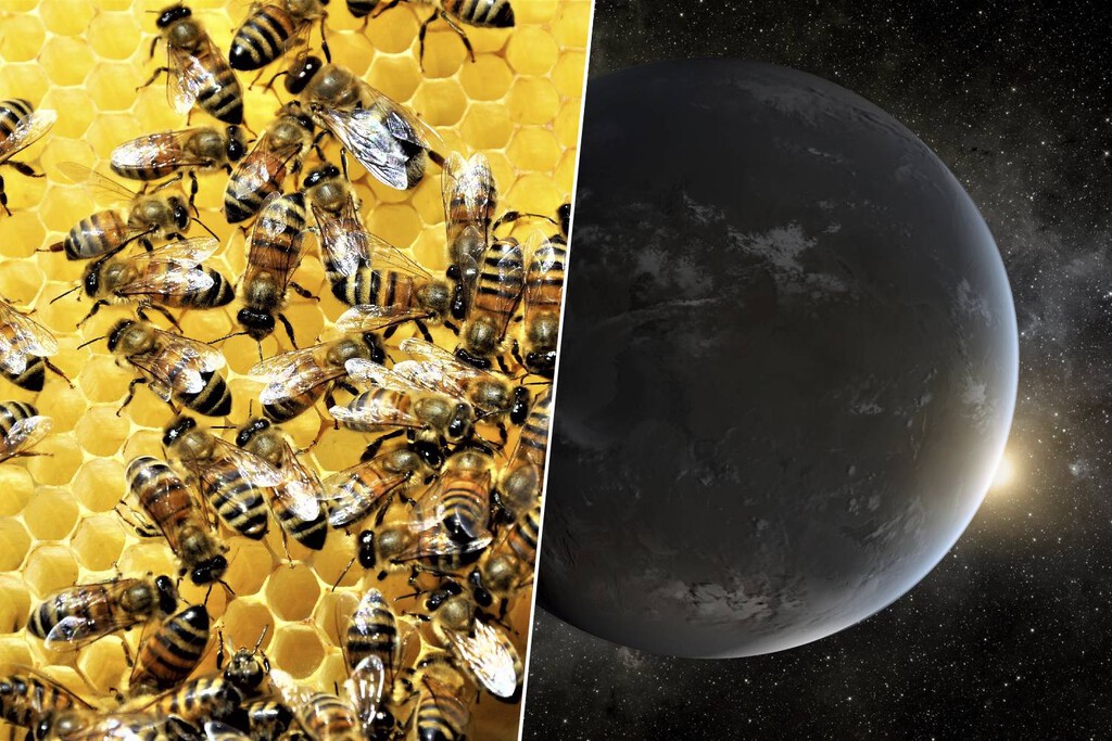 Proponen un enjambre de telescopios espaciales para la búsqueda de vida extraterrestre en 2040
