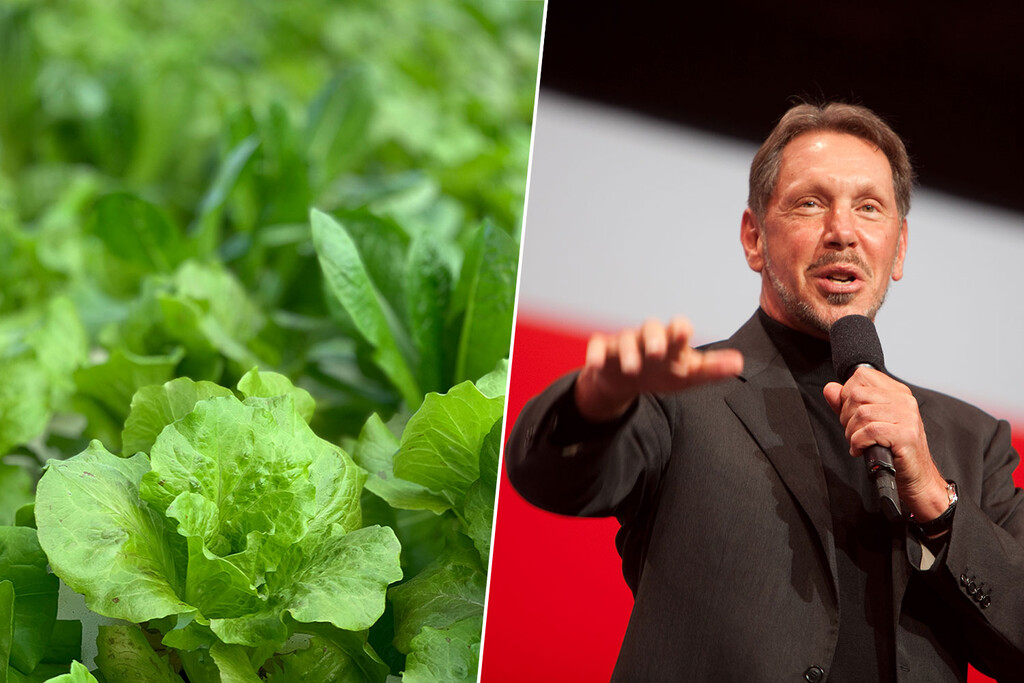 El ambicioso proyecto agrícola de Larry Ellison en su isla privada de Hawái: Un análisis de Sensei Ag