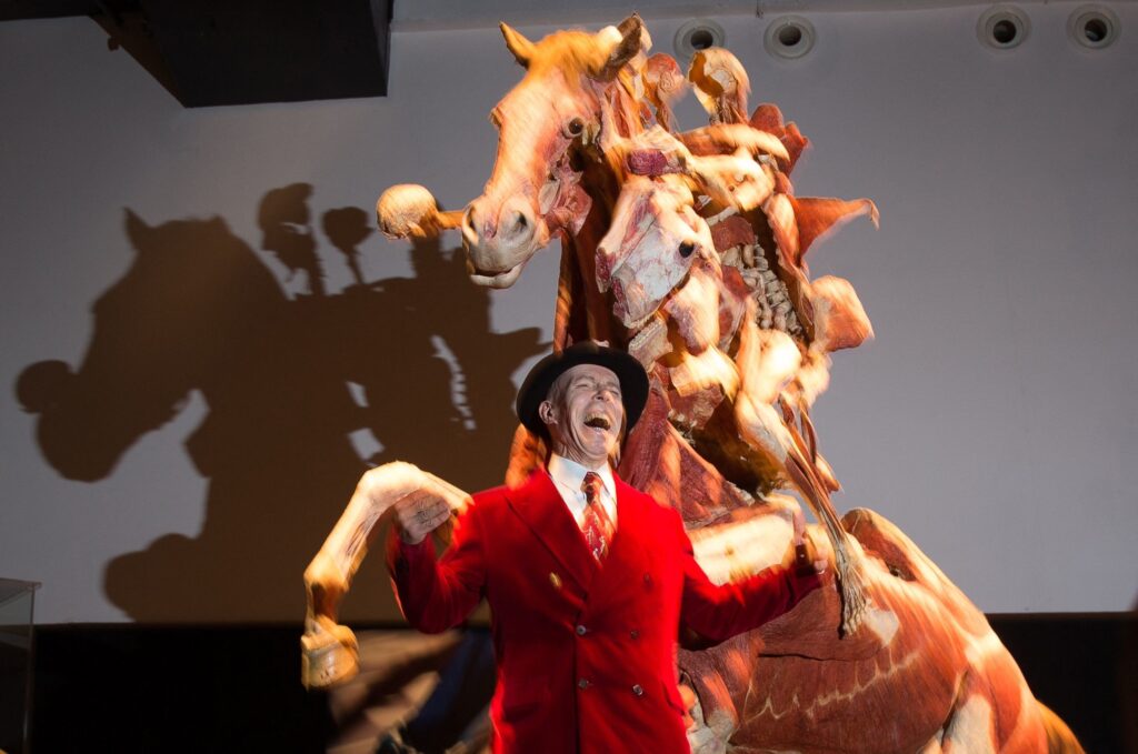 Fallece a los 81 años Gunther von Hagens, pionero de la plastinación de cuerpos humanos