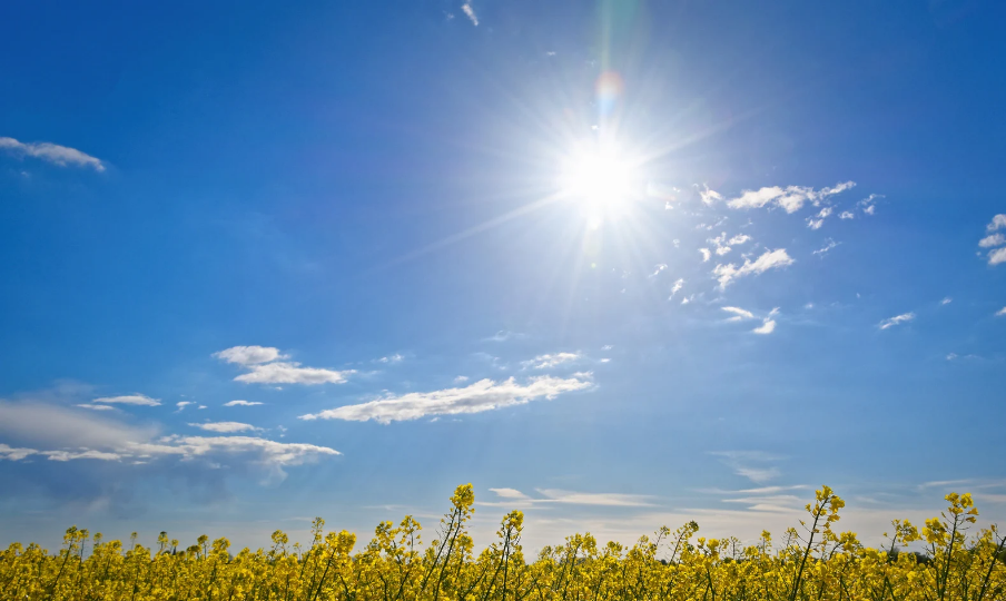 Martes Soleado con Bajas Concentraciones de Polvo Sahariano y Temperaturas Elevadas