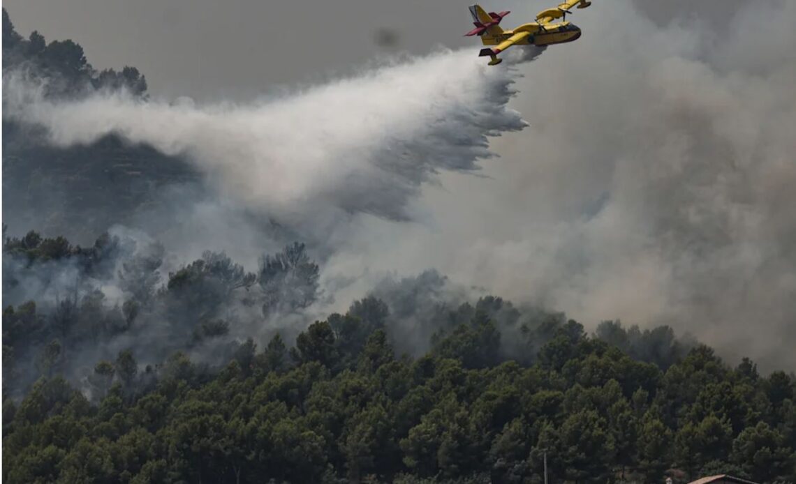Controlan el Incendio Forestal en el Centro de España Tras Consumir 77.000 Hectáreas