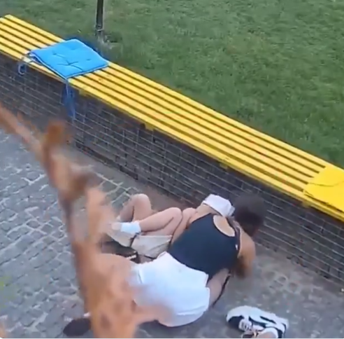 Mujer se Lanza para Proteger a Niña Durante Bombardeo Ruso en Ucrania, Captado en Video