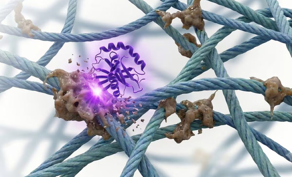 Descubrimiento de Nueva Enzima Acercaría a la Ciencia a Tratamientos Antienvejecimiento
