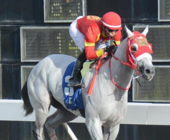 Hipódromo Quinto Centenario albergará el Clásico Velocidad este sábado