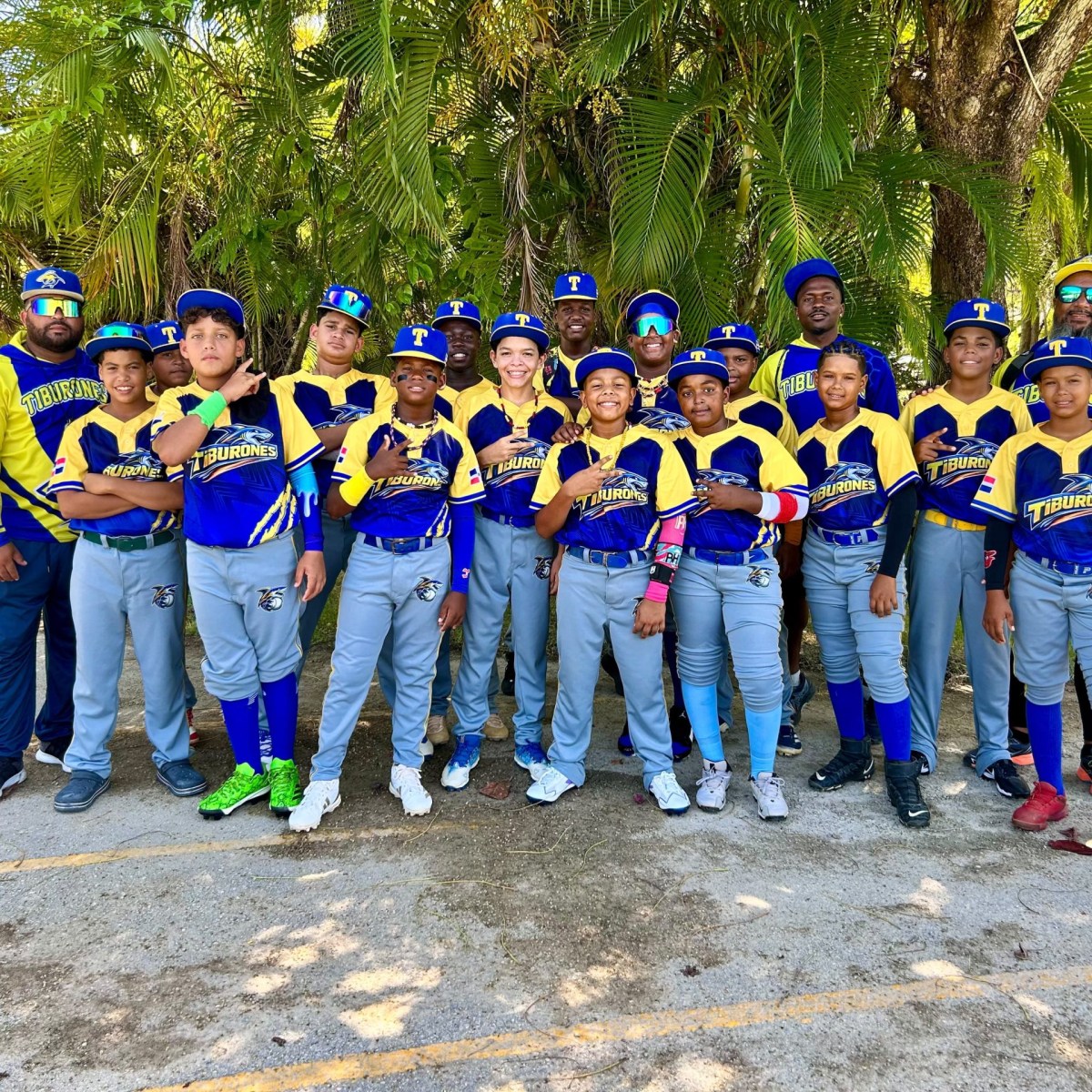Equipo Tiburones de Punta Cana Destaca en Múltiples Divisiones del Torneo Internacional de Béisbol JDM 2026