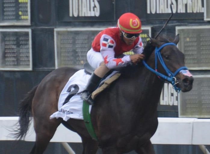 Entrenador Demetrio A. Correa Optimista sobre el Triunfo de Korean’s Girl en la Triple Corona Hípica