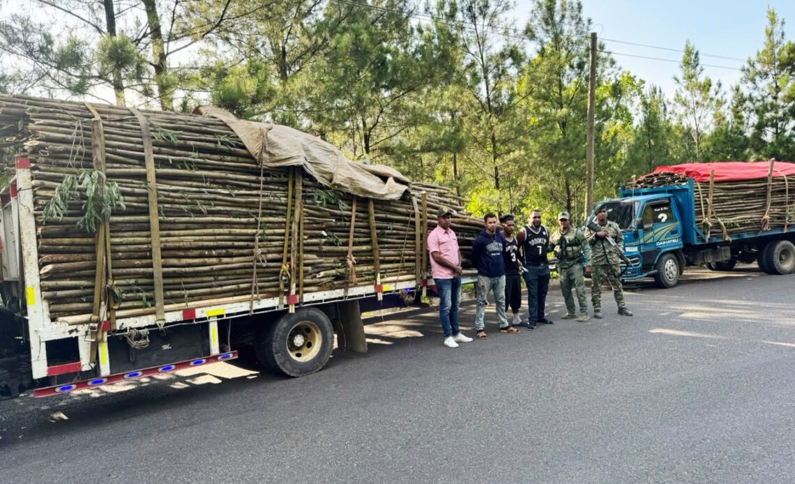 Intercepción de Carga Ilegal de Madera en Santiago