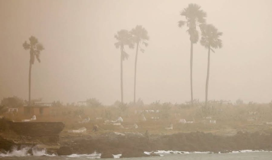Alerta por Nube Sahariana: Aumento de Alergias y Calor Intenso Previsto