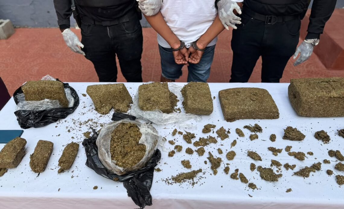 Incautan marihuana y máquinas tragamonedas ilegales en Capotillo