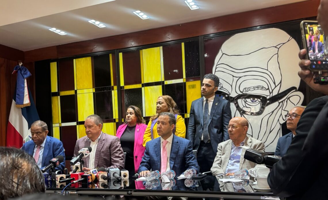 Idelia Doñé Asume Vocería del Bloque de Diputados del PLD