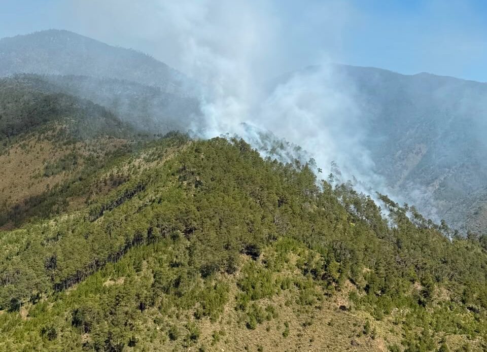 Autoridades logran contener incendio forestal en el Valle del Tetero