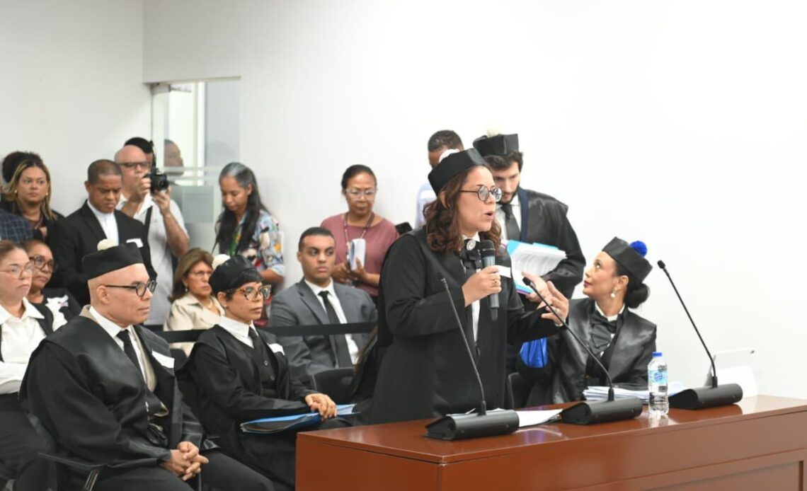 Petición al Tribunal Constitucional para Derogar Excepción en la Ley que Permitiría Abortos sin Consentimiento Femenino