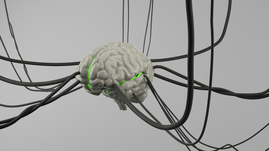 La neurociencia detrás del suspiro: ¿Qué nos revela sobre nuestras emociones?