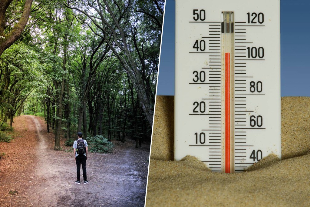 El calor nocturno afecta la toma de decisiones racionales, impactando más a hogares de bajos ingresos