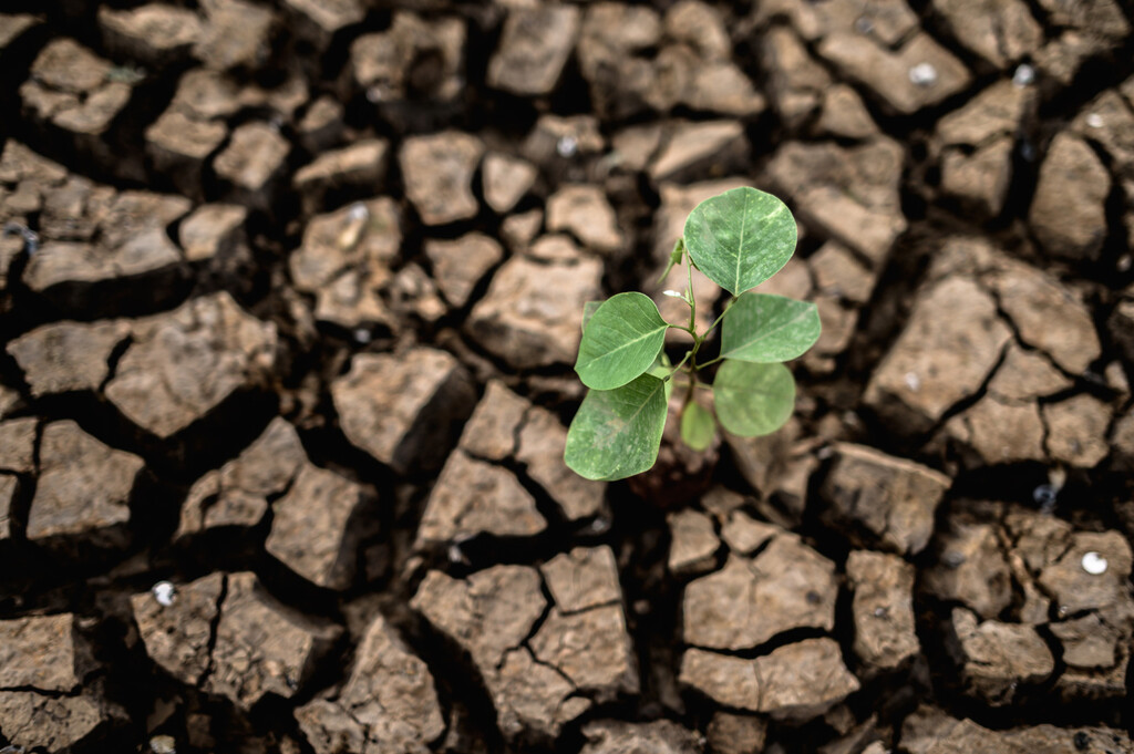 Pérdidas Agrícolas Millonarias para 2100 por el Cambio Climático, Según Estudio