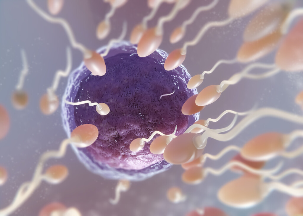 La edad paterna influye en la calidad del esperma: Hombres mayores de 45 años presentan más mutaciones genéticas