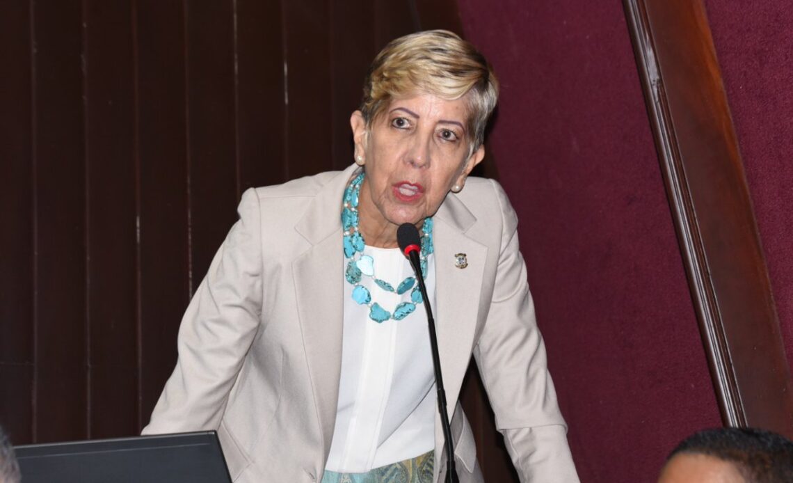 Ginette Bournigal respalda a la Policía Nacional, señalando que un incidente aislado no debe desvalorizar a la institución