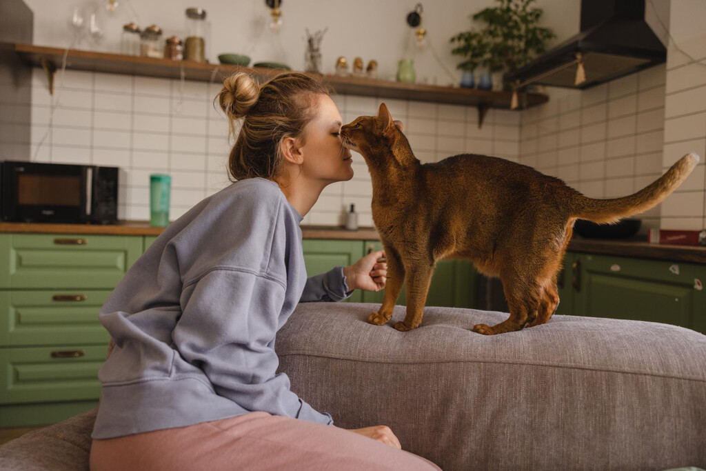 El significado detrás de los lametones de los gatos a humanos: más allá del afecto