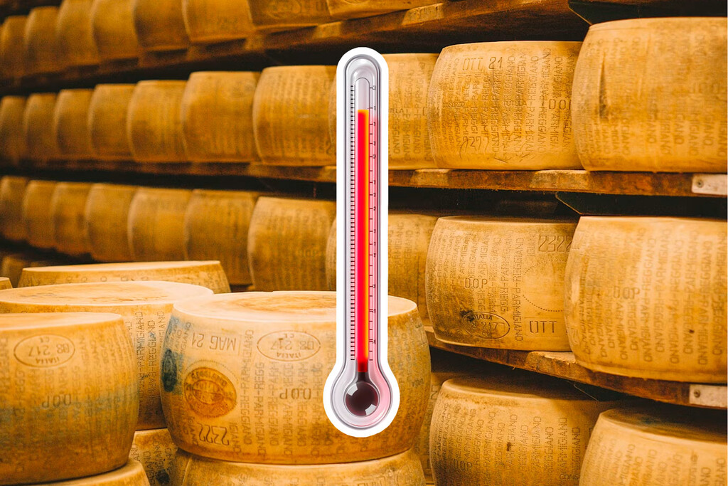 El calor extremo amenaza la producción del queso parmesano en Italia