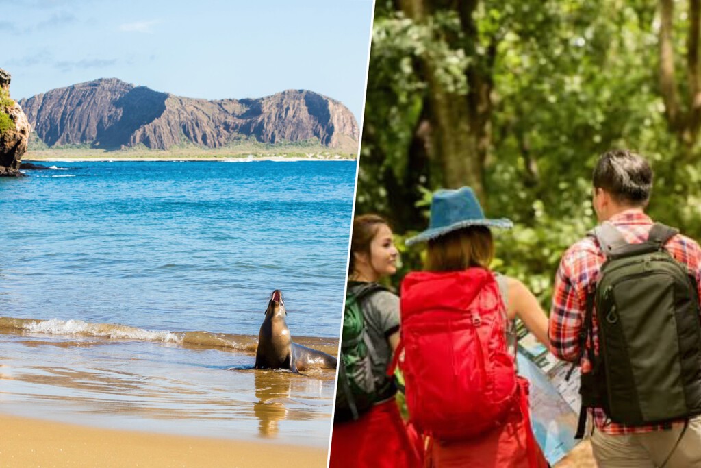El Auge de Airbnb en las Islas Galápagos: Un Desafío para la Conservación y la Economía Local