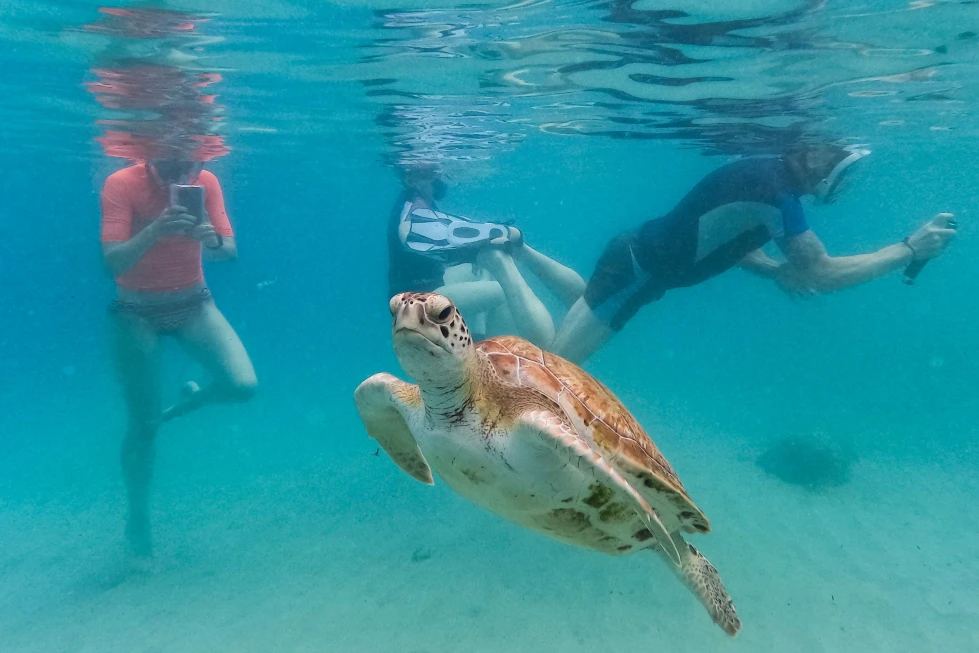 Temperaturas Oceánicas Alcanzan Nuevo Récord Histórico, Generando Preocupación por la Pesca y el Clima