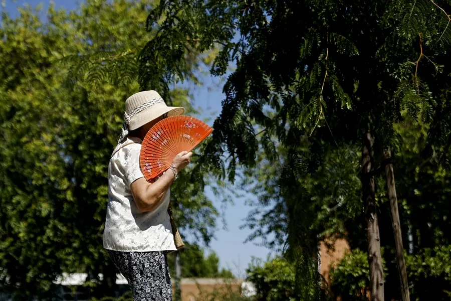 Guía de Menopausia Bajo Revisión por Uso de Datos Exclusivos de Hombres