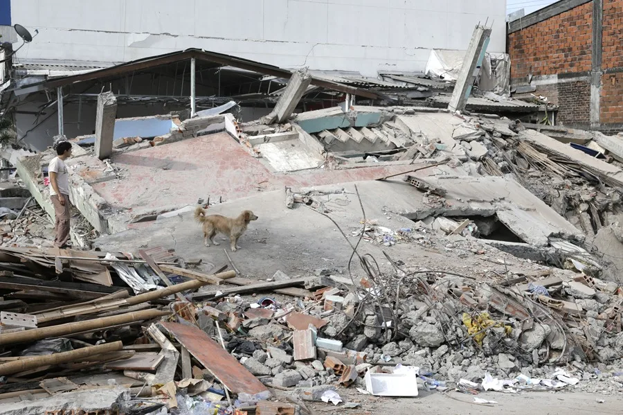 Estrellas Musicales se Unen en Concierto Benéfico por Damnificados del Terremoto en Colombia