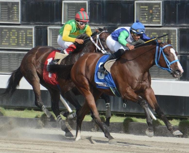 José Francis Rojas Destaca con Tres Victorias y Asciende al Tercer Puesto entre Jinetes