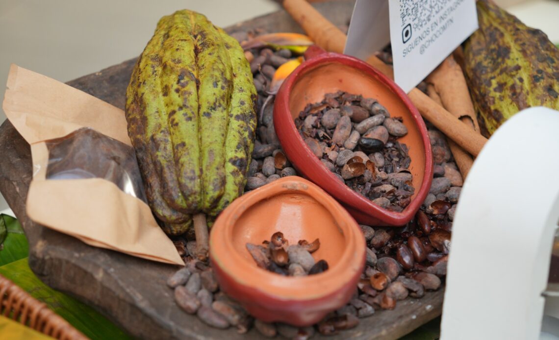 Exportaciones de Cacao Dominicano Superan los US? Millones y Serán Protagonistas en el Festival del Chocolate
