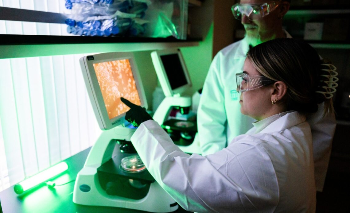 Inteligencia Artificial: Herramienta Clave para la Prevención de Enfermedades por Calor Extremo