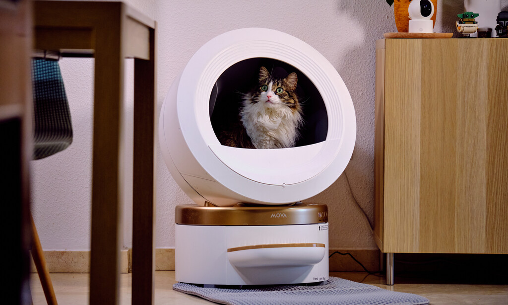 Análisis Detallado del Arenero Automático Mova LR10 Prime: Una Solución Convincente para Propietarios de Gatos