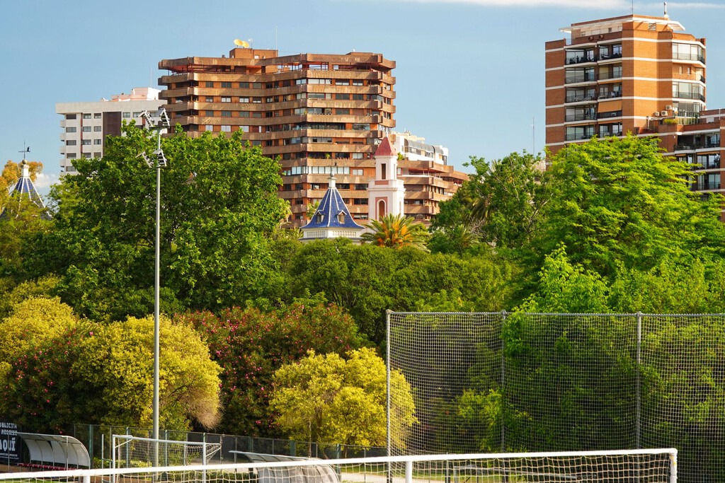 Estrategias científicas para enfriar ciudades: la importancia de la elección y disposición de árboles