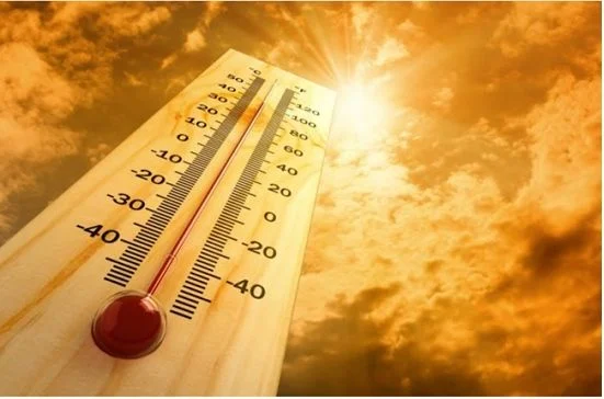 Ola de Calor Extrema Golpea Múltiples Continentes, Desde Japón hasta República Dominicana, Impulsada por el Cambio Climático