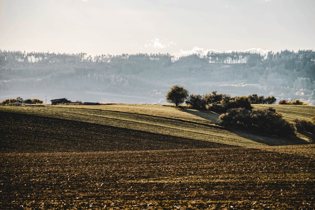 Método Innovador: Agricultor Utiliza Ropa Interior de Algodón para Evaluar la Salud del Suelo Agrícola