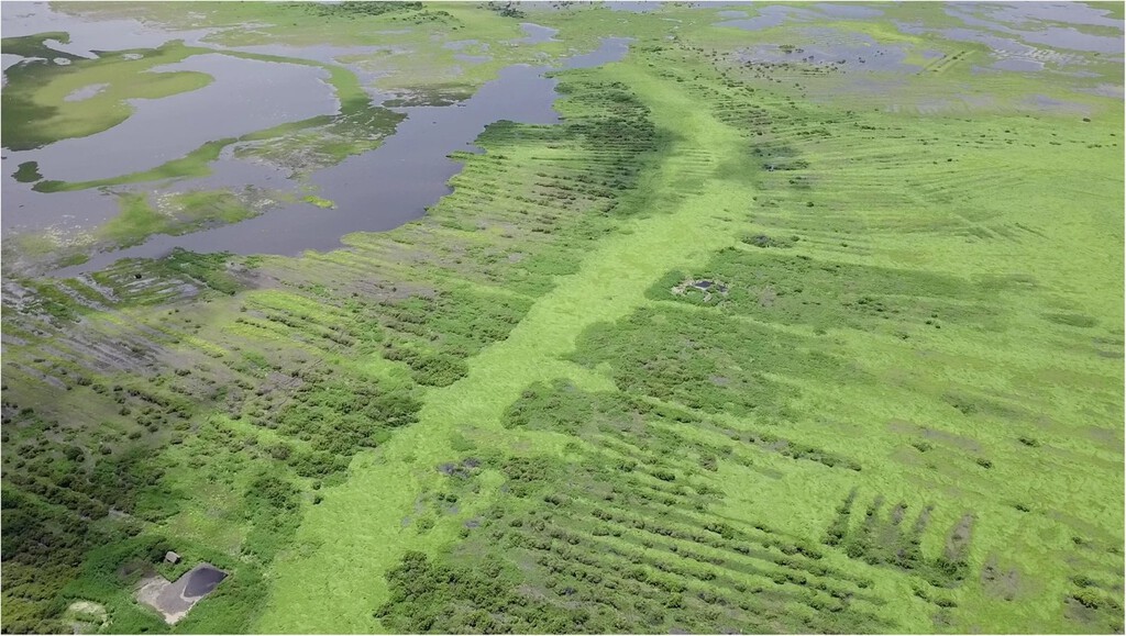 Nuevo estudio revela que la red hidráulica milenaria Zenú en Colombia fue construida y gestionada comunitariamente, sin élites
