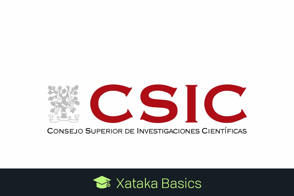 Acceso a la Bolsa de Empleo del CSIC: Requisitos y Proceso de Solicitud