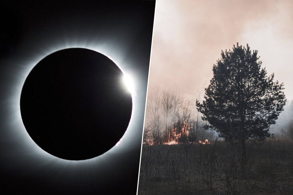 Preocupación por el riesgo de incendios forestales durante el eclipse solar en la España rural