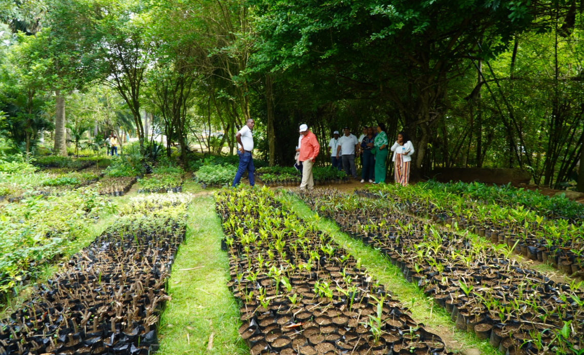 Digecac Anuncia Primer Festival de Plantas 2026 para Fomentar la Conciencia Ambiental