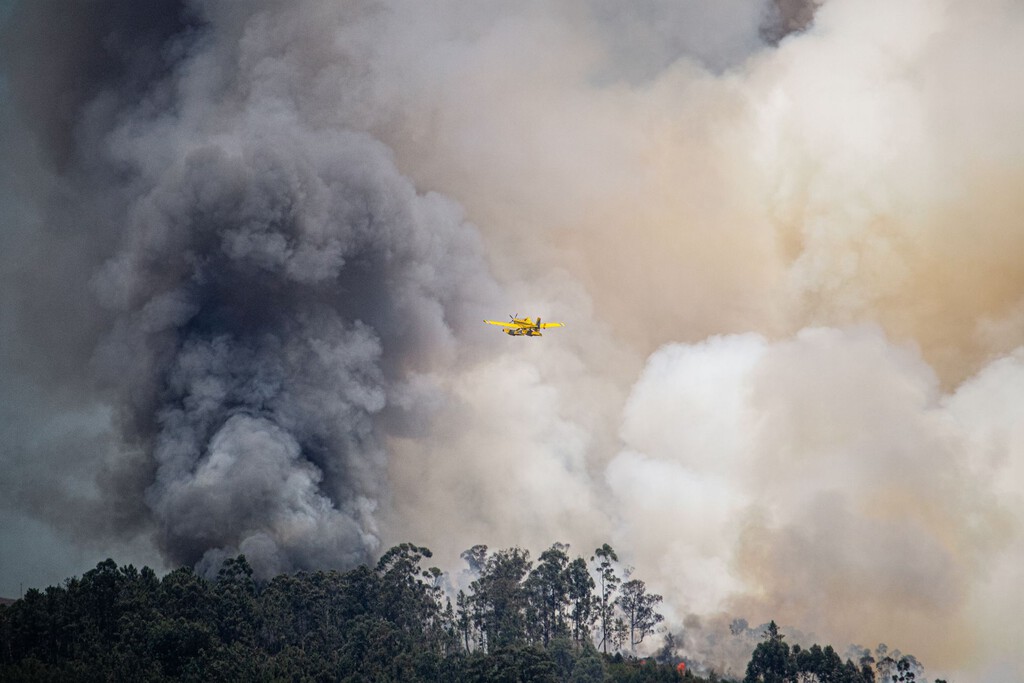 El Fenómeno de los Pirocumulonimbos: Cuando los Incendios Generan Sus Propias Tormentas y Alteran la Atmósfera