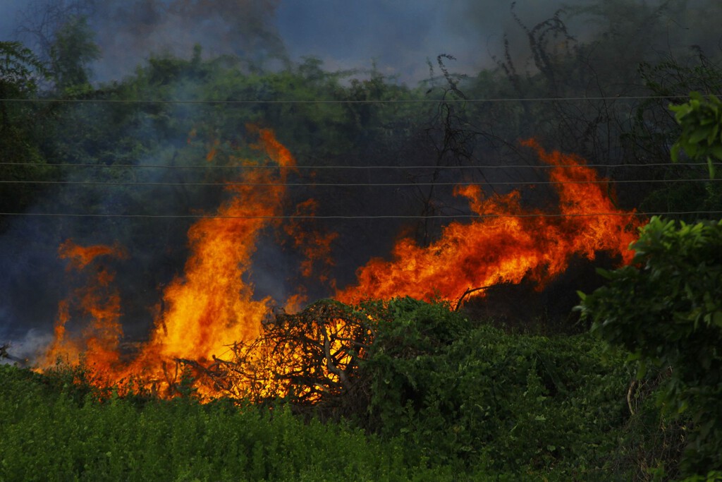 El abandono rural transforma los campos de cultivo en combustible para incendios forestales en España