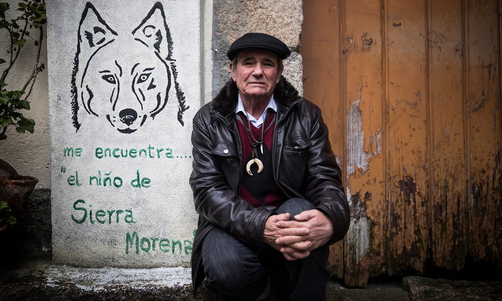 El ''Niño Lobo'' de Sierra Morena: La Historia de Marcos Rodríguez Pantoja y su Vida entre Humanos y Lobos