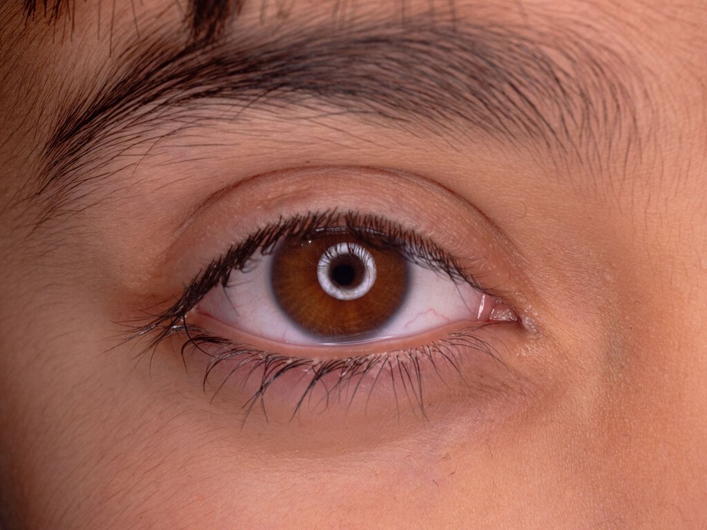 La ciencia redefine el origen del ojo humano: ¿un ancestro con un solo ojo central?